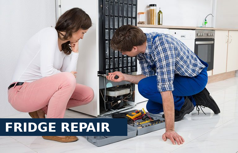 Fridge Repair Woolwich